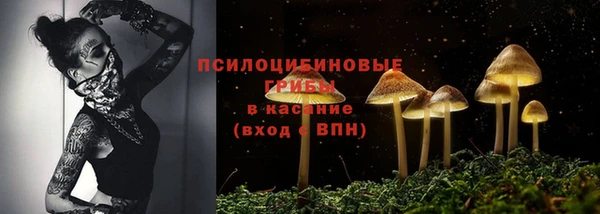 стаф Нефтегорск