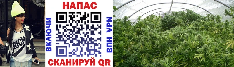 Марихуана Ganja  цены наркотик  Туринск 